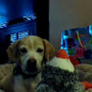 Meet your Posher, Marcus